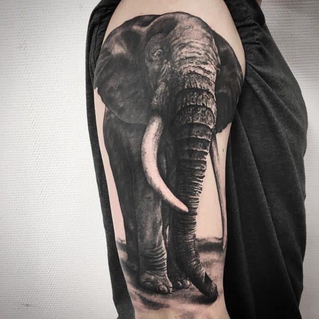 elephant tattoo17