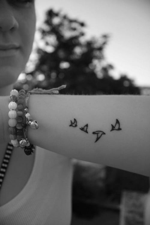 Fly Bird Tattoos on Arm