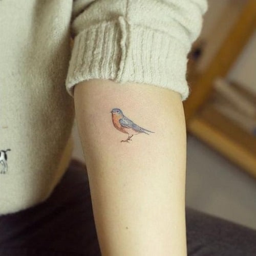 Robin Bird Tattoo