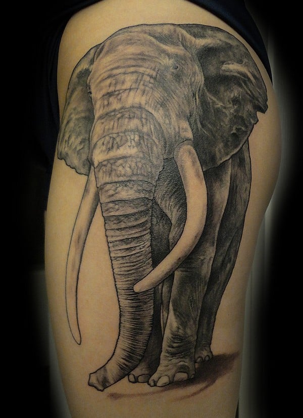 Side Elephant Tattoo