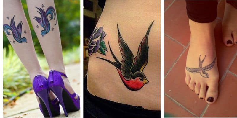 145 Pretty Swallow Tattoo Designs And Meanings