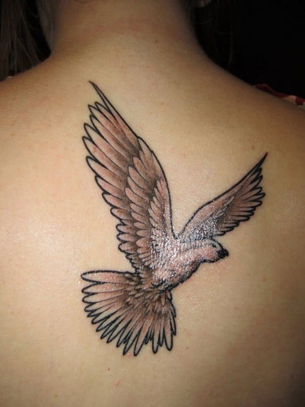 55 Peaceful Dove Tattoos  Art and Design