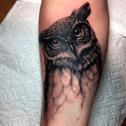 Birds Black  Grey Owl RealisticRealism Tattoo  Slave to the Needle