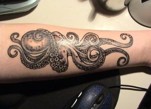 Octopus tatuointi käsivarteen