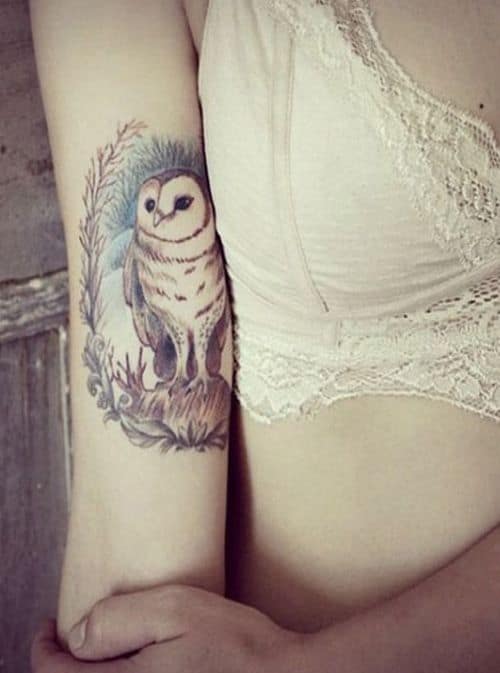 Owl on Top of Deer Tattoo