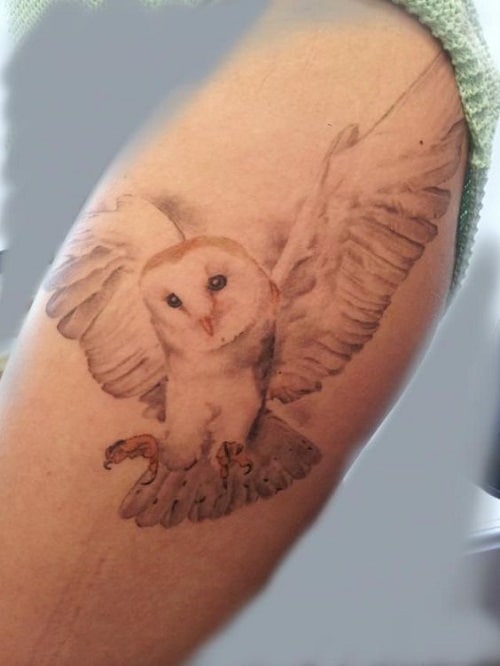 150 Brilliant Owl Tattoo Designs & Their Meanings