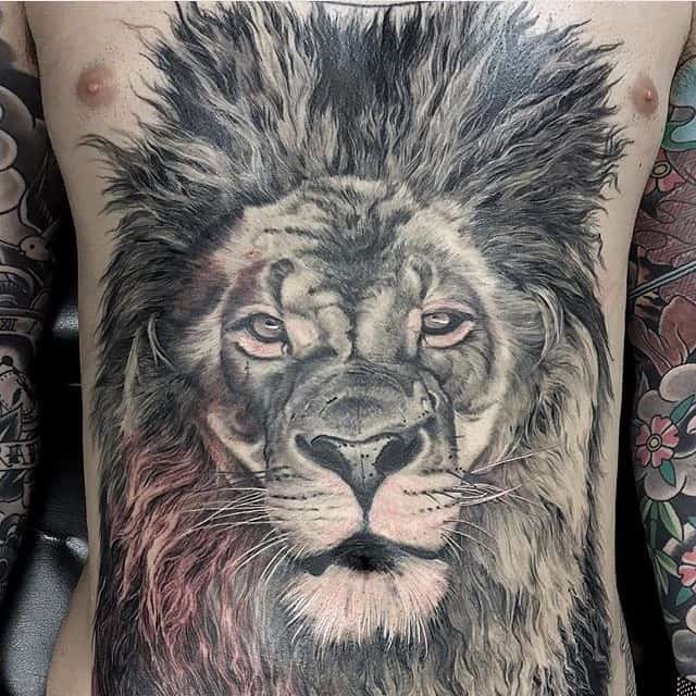 stomach tattoos lion