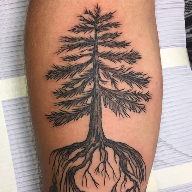 tree tattoos