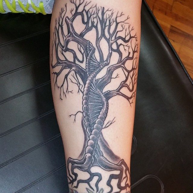 meanings of tree tattoos