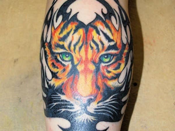 tribal-tiger