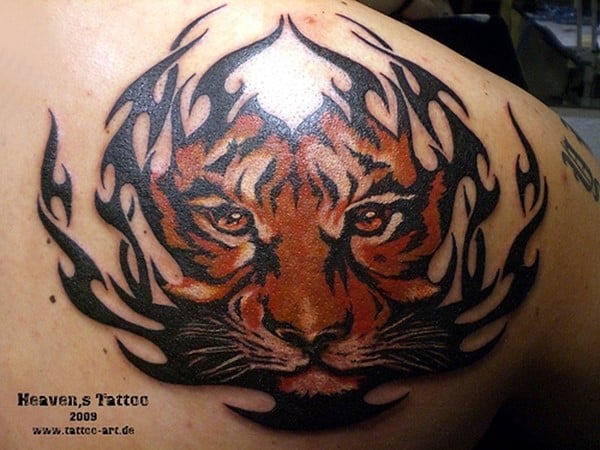 Tiger-Tribal-Tattoos-1