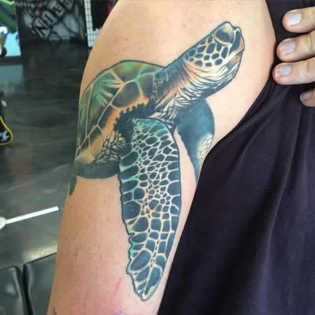 Turtle Tattoo Meaning  What do Turtle Tattoos Symbolize  Next Luxury