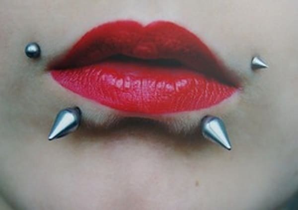 100 Snake Bites Piercing Ideas Jewelry And Information