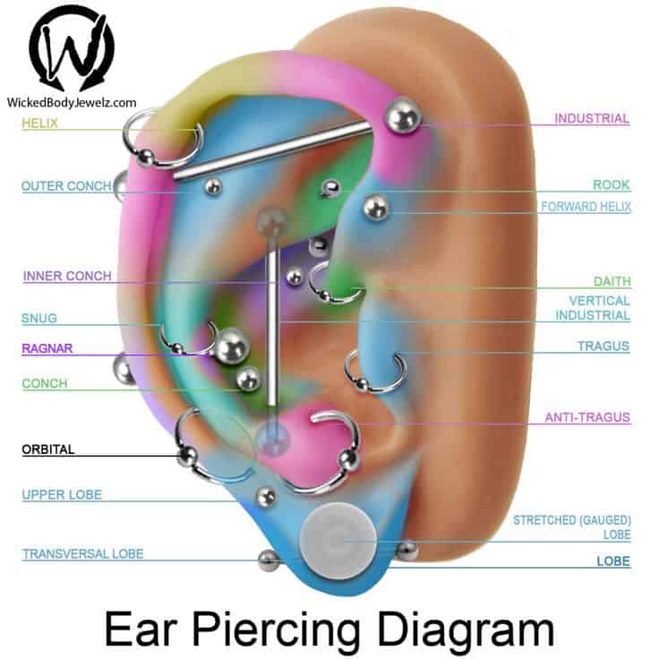 Ear Piercing Level Chart