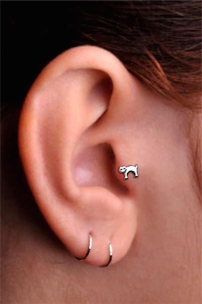 cat tragus piercing