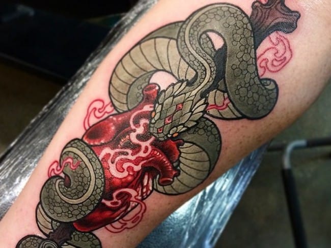 snake on arm