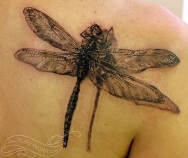 tatouage papillon (34)