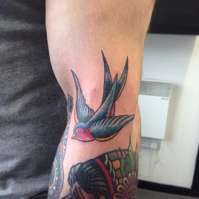 swallow tattoos