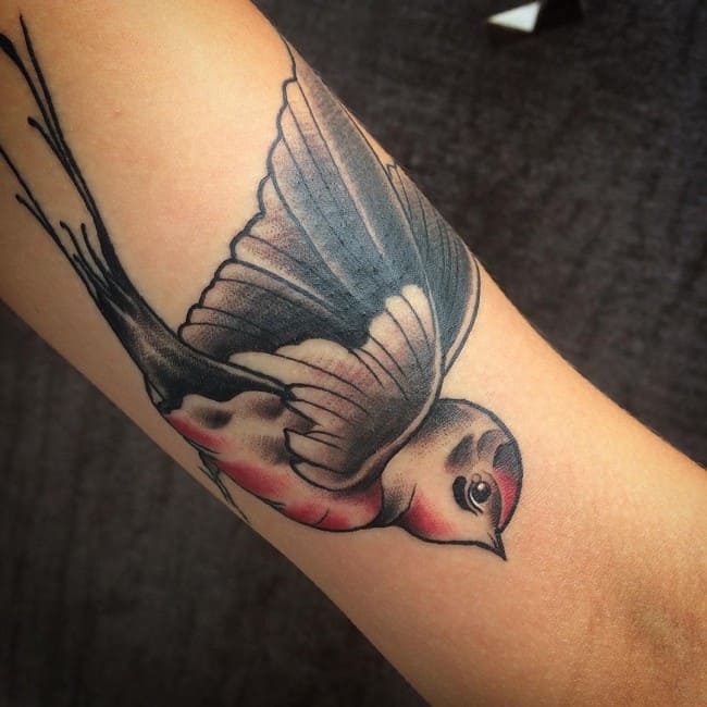 swallow tattoos