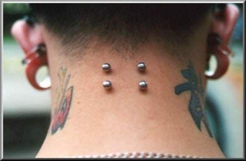 Silver Studs Surface Nape Piercing Picture