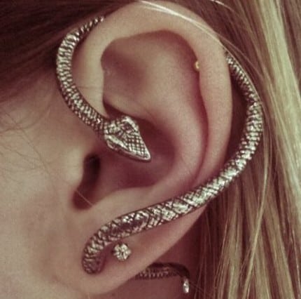 helix-piercing-snake