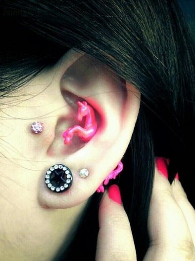 Horse Conch Piercing