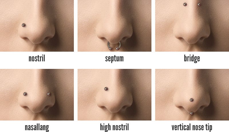 100 Nose Piercing Ideas Jewelry And Faqs