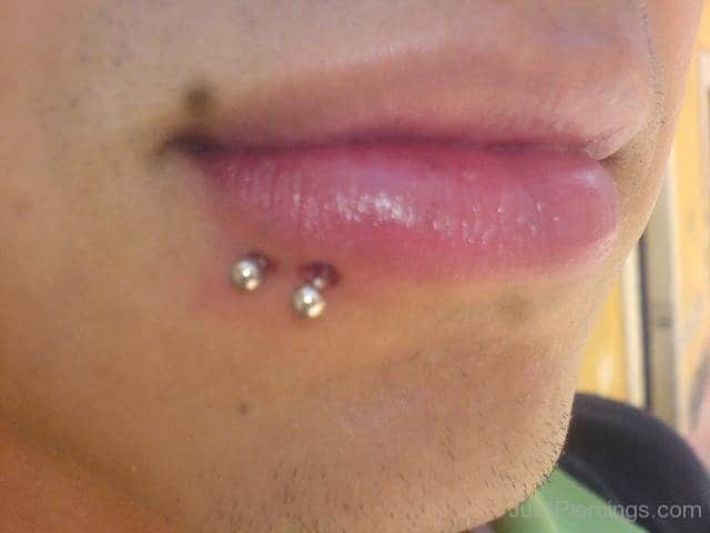 Nice Silver Studs Spider Bite Piercing