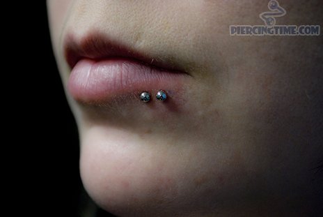 Silver Studs Spider Bite Piercing