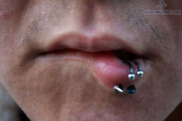 Spider Bite Piercing With Spike Ball Closure Ring