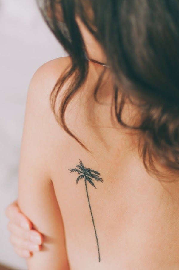 Small Coconut Tattoo Design