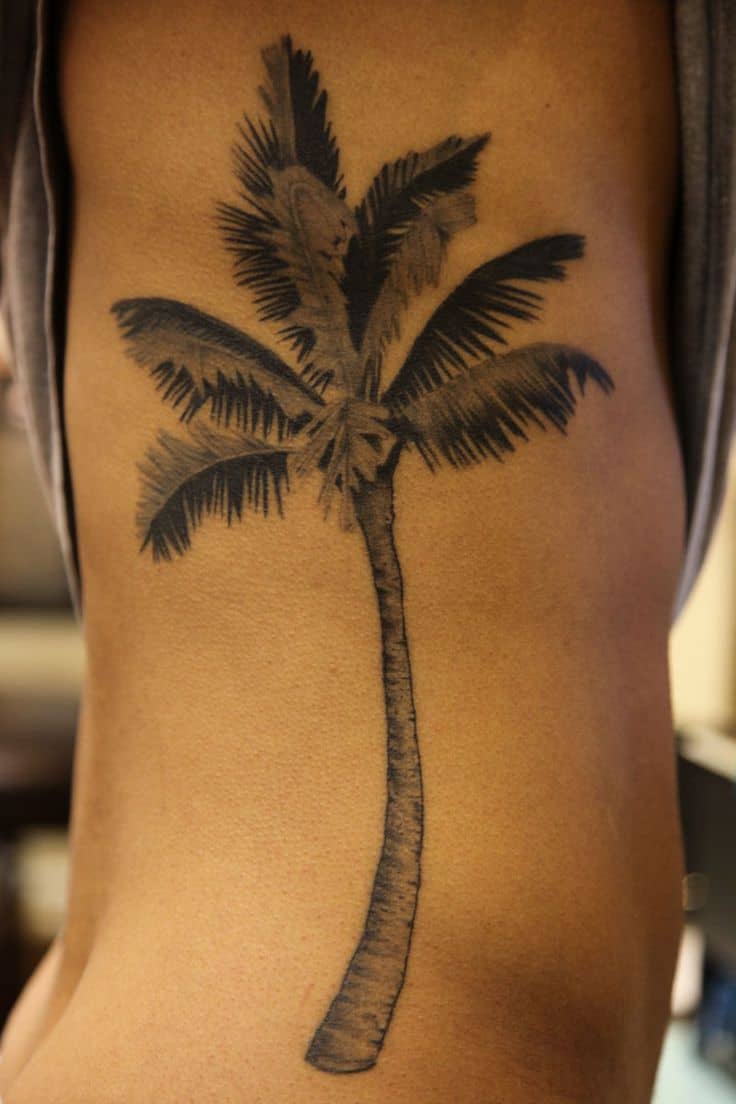 palm tree rib tattoo