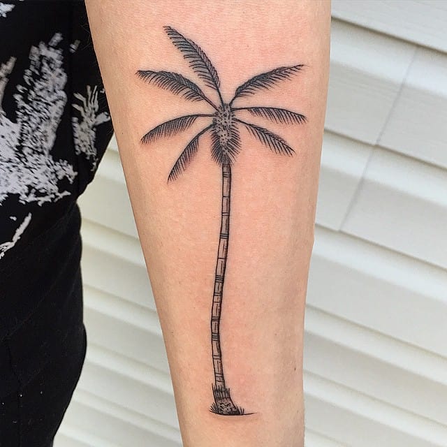 palm tree tattoo on arm