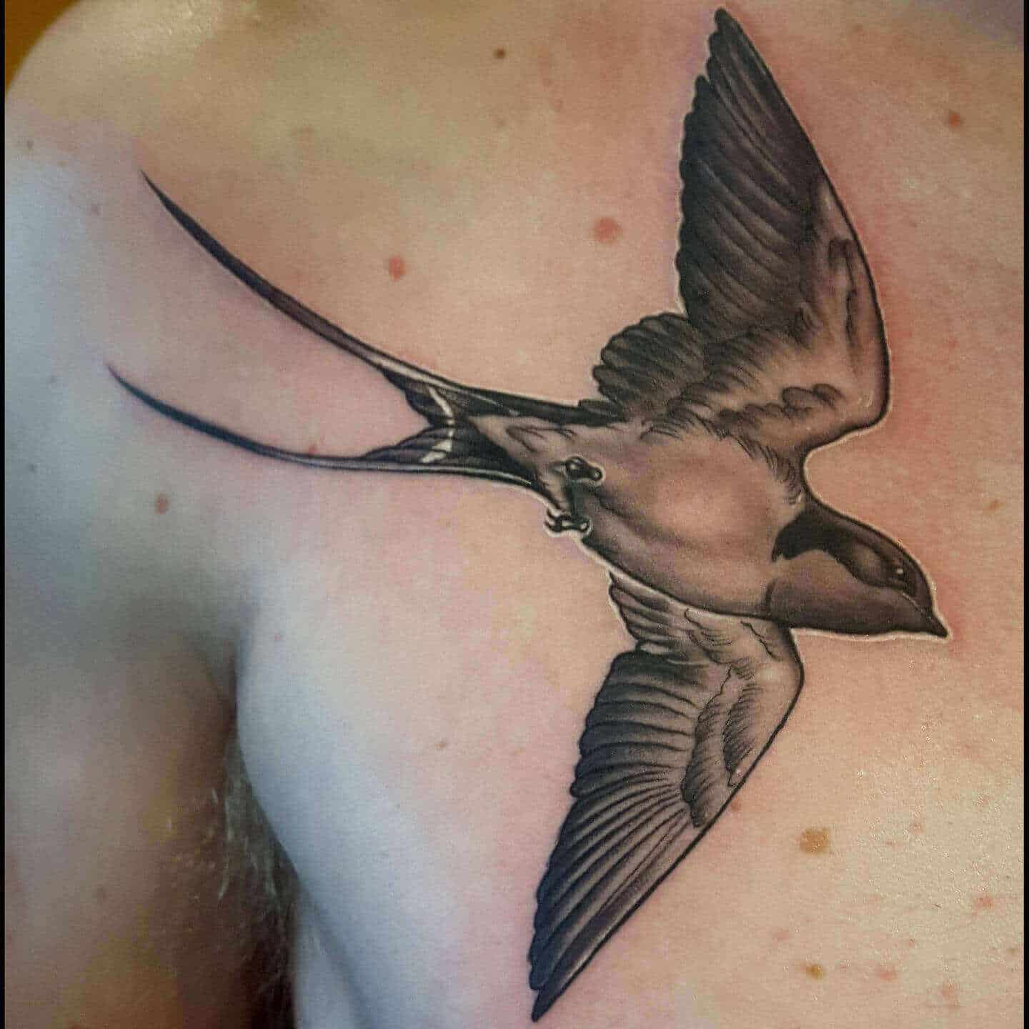 sailor jerry sparrow tattoo on chest