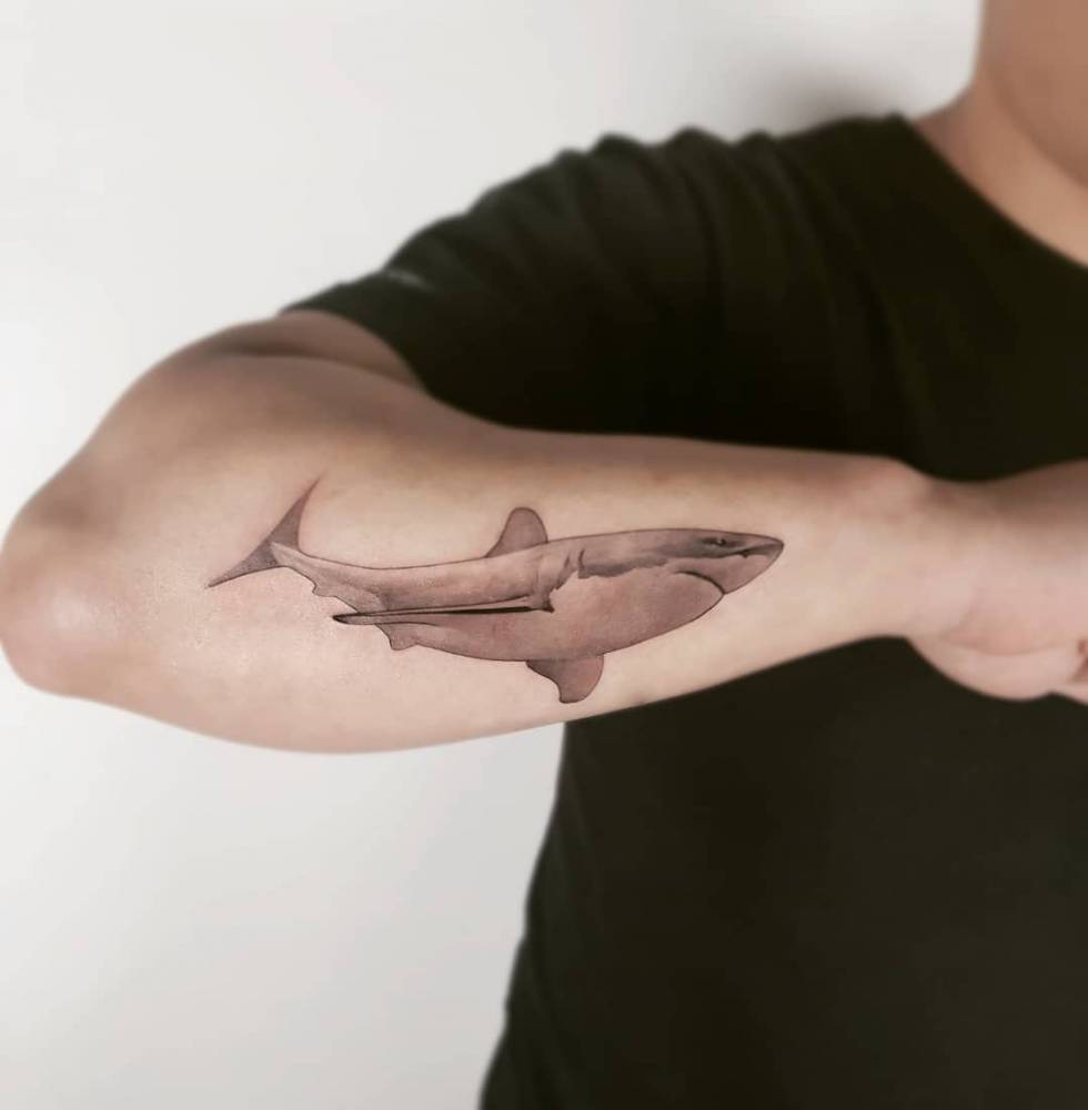 shark tattoo on arm