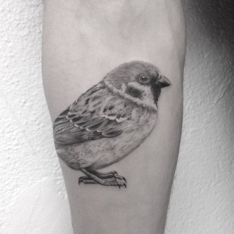 sparrow tattoo on arm