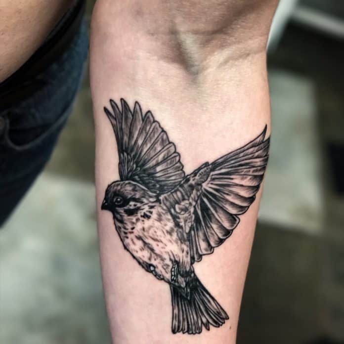 45 Impressive Sparrow Tattoo Ideas