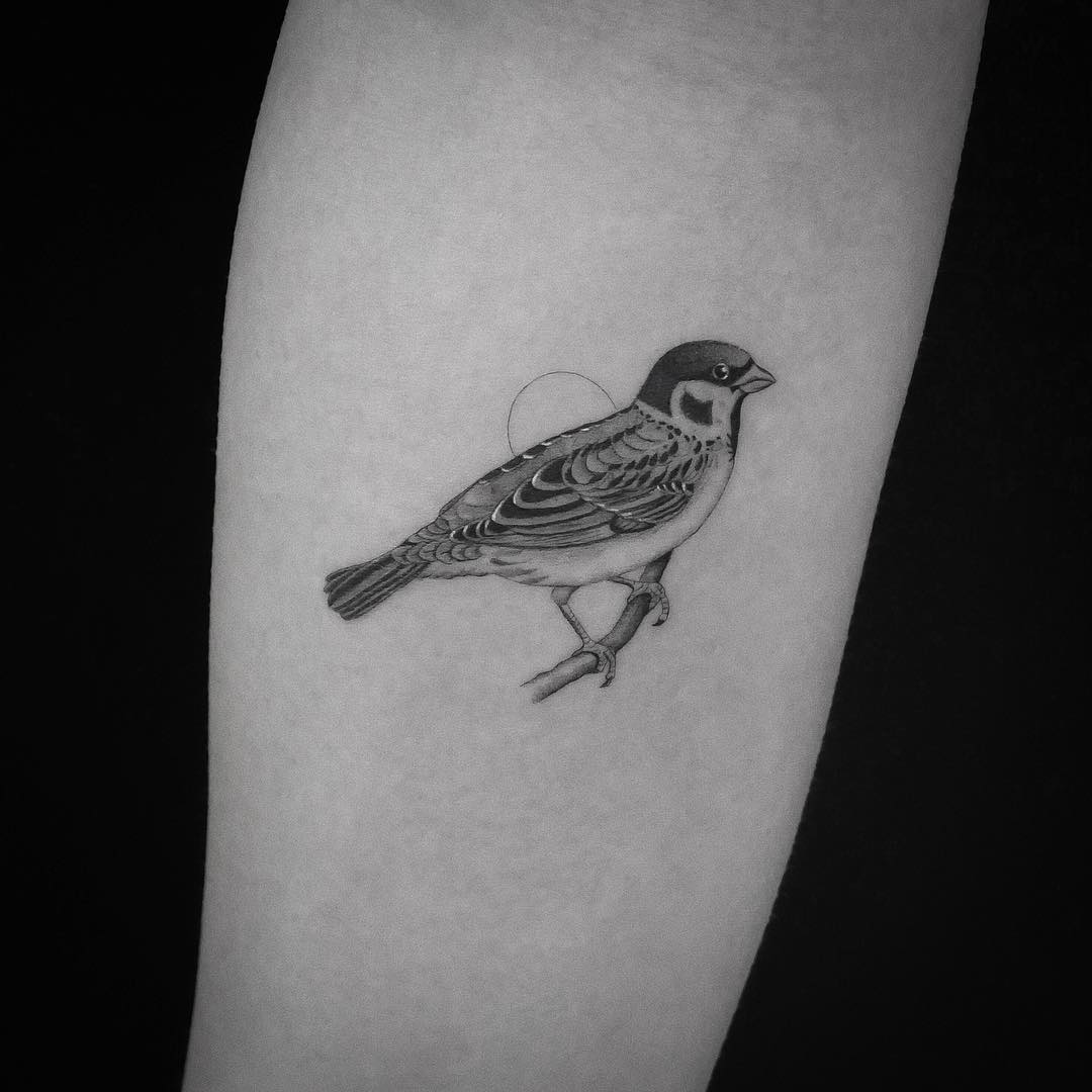 sparrow tattoo on arm