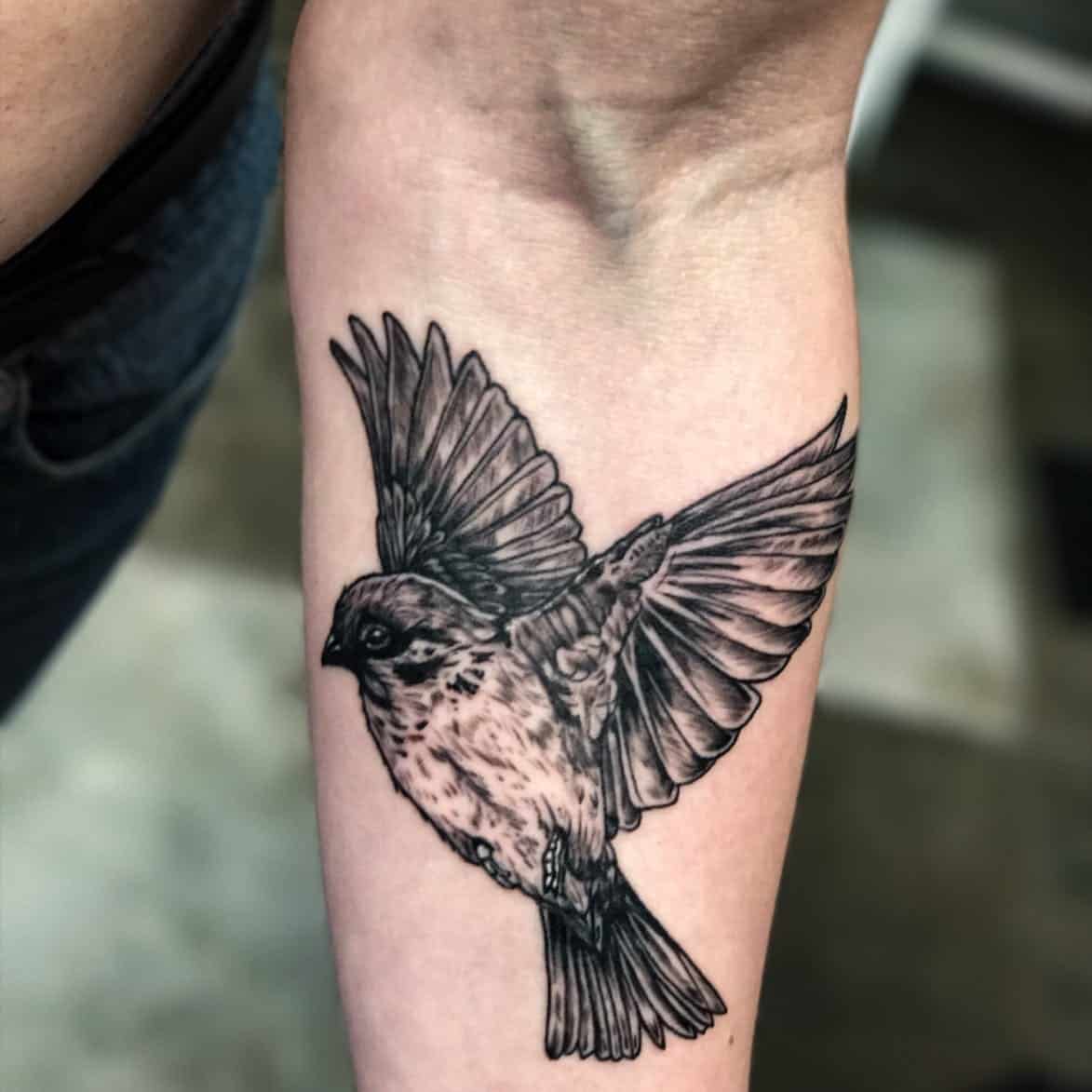 sparrow arm tattoo