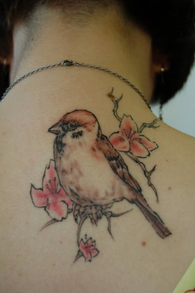 sparrow back tattoo