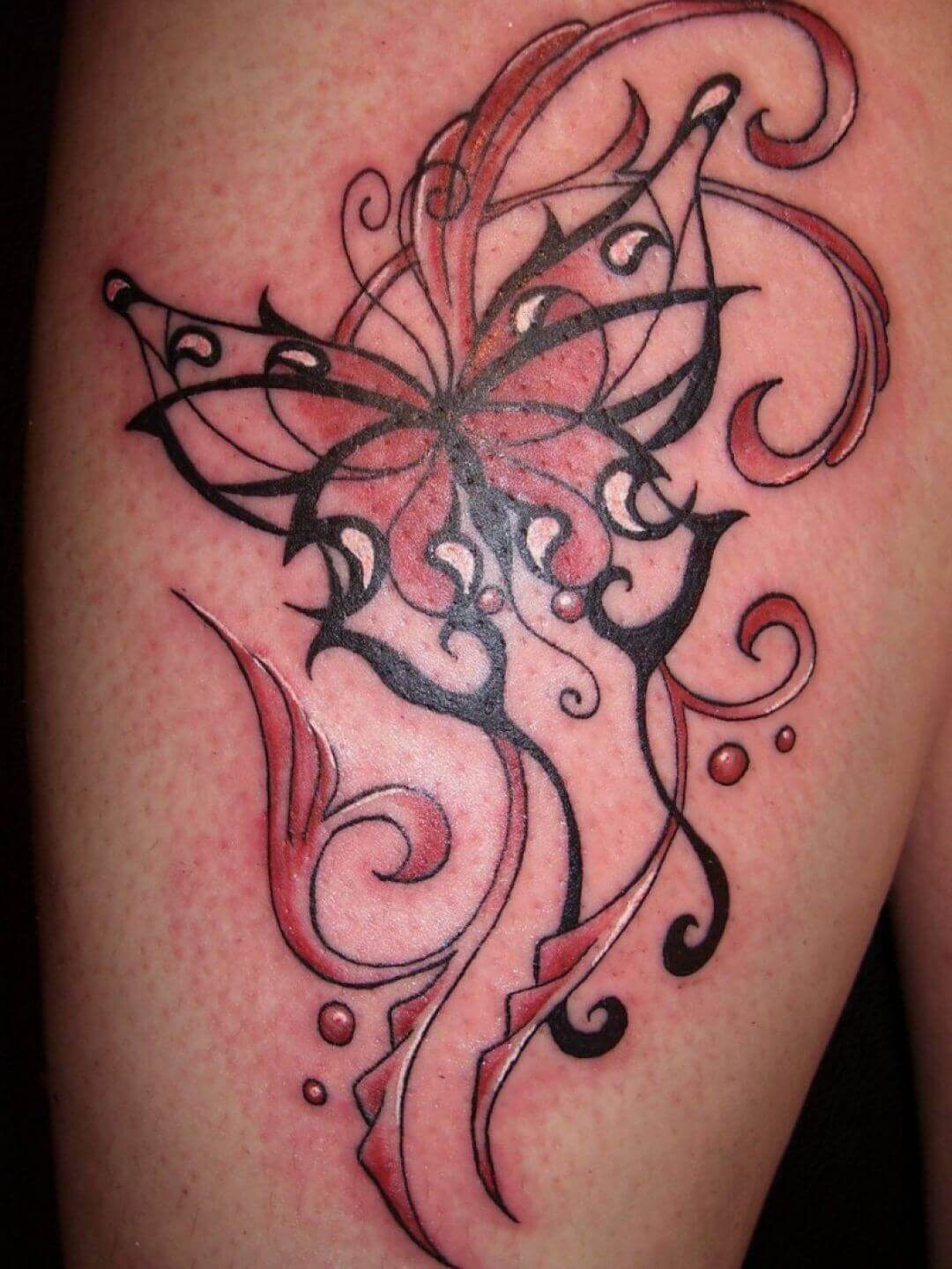 butterfly celtic tattoo