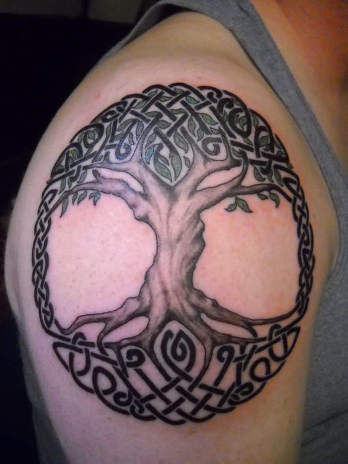 tree of life celtic tattoo