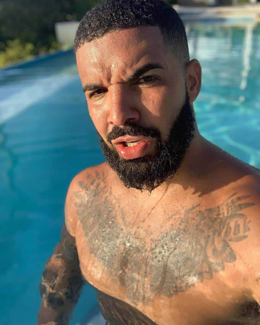 drake huge owl tattoo