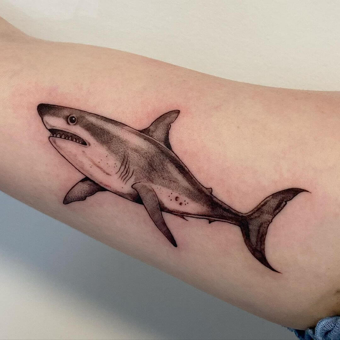 White shark tattoo on the back of the right arm