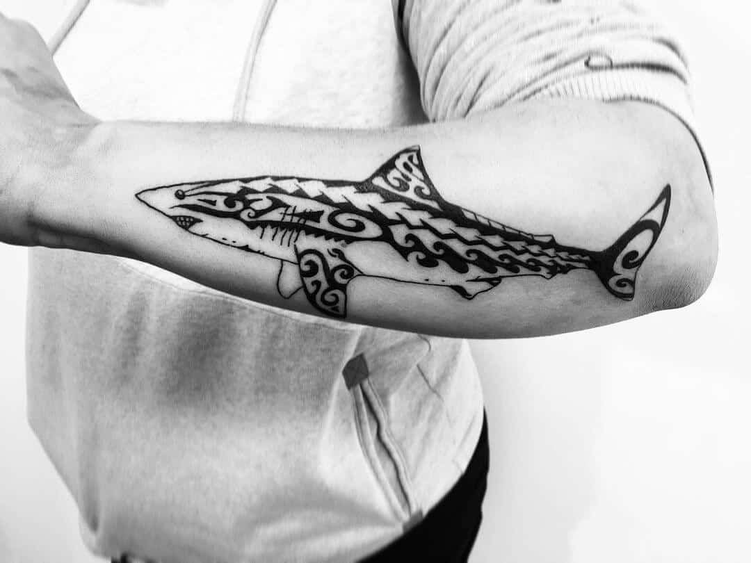 polynesian tribal shark tattoo