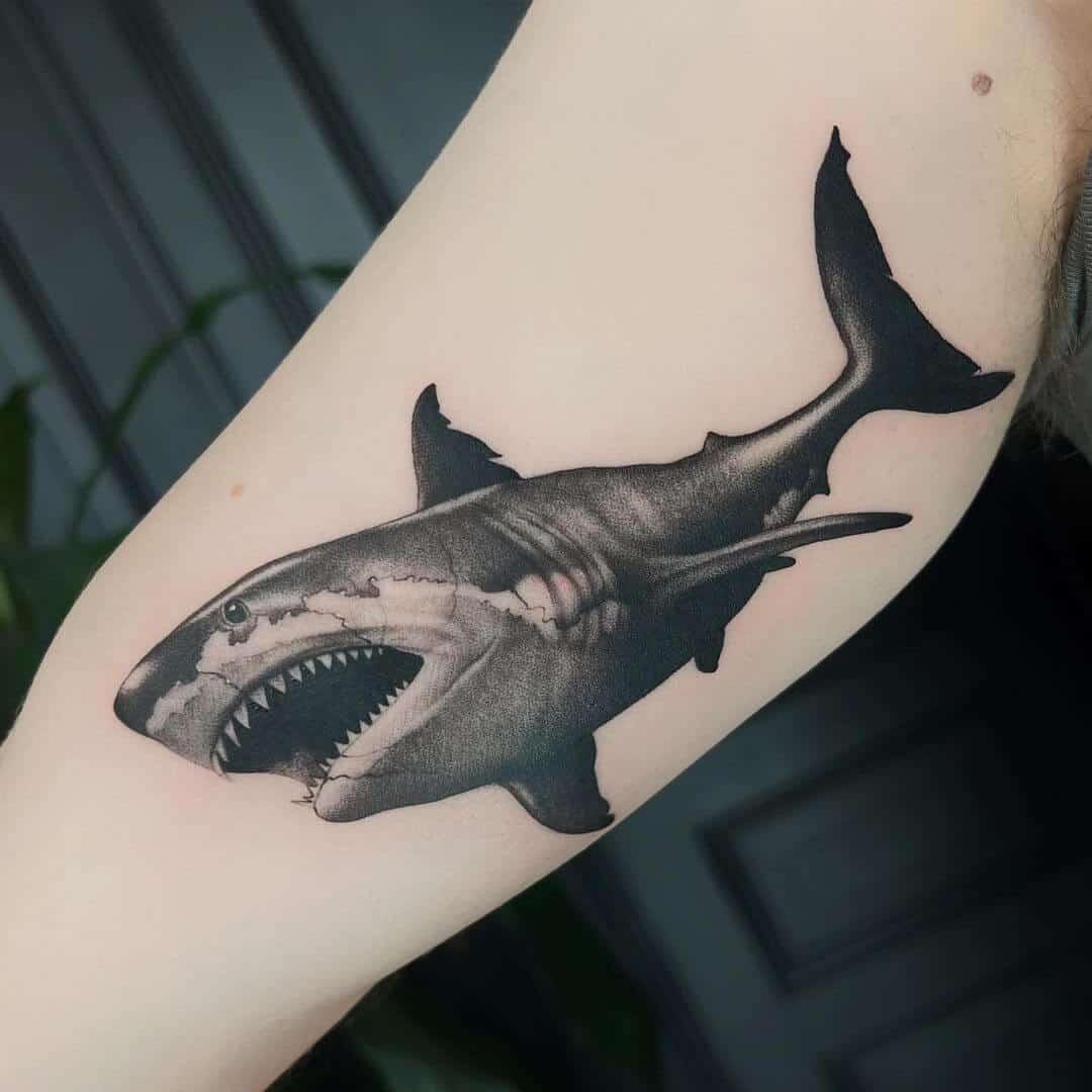 shark silhouette tattoo