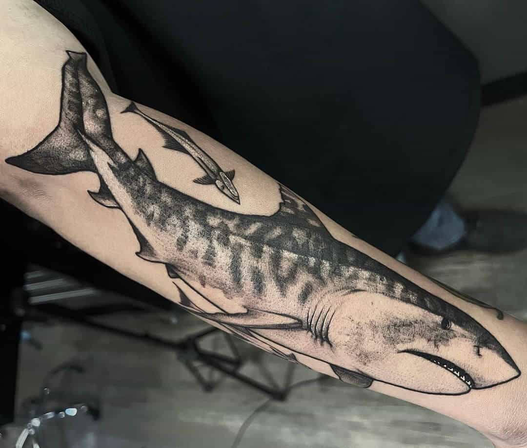 45 Best Shark Tattoos  Designs On Arm