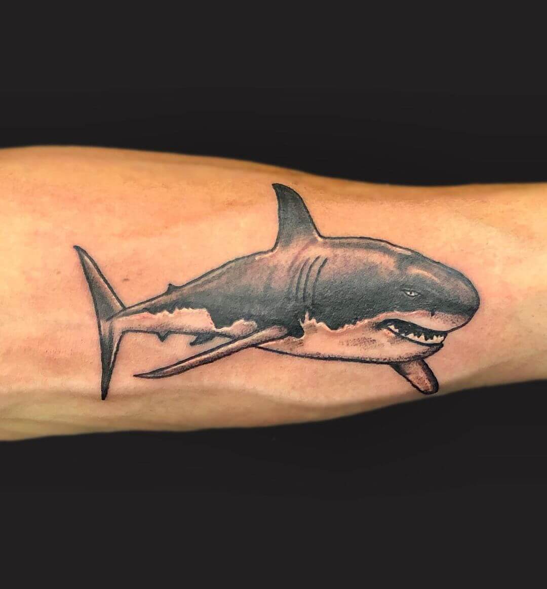 Yes I love sharksGreat White Shark by Doug Fortin Iron Eel Tattoo in  Collinsville CT  rtattoos