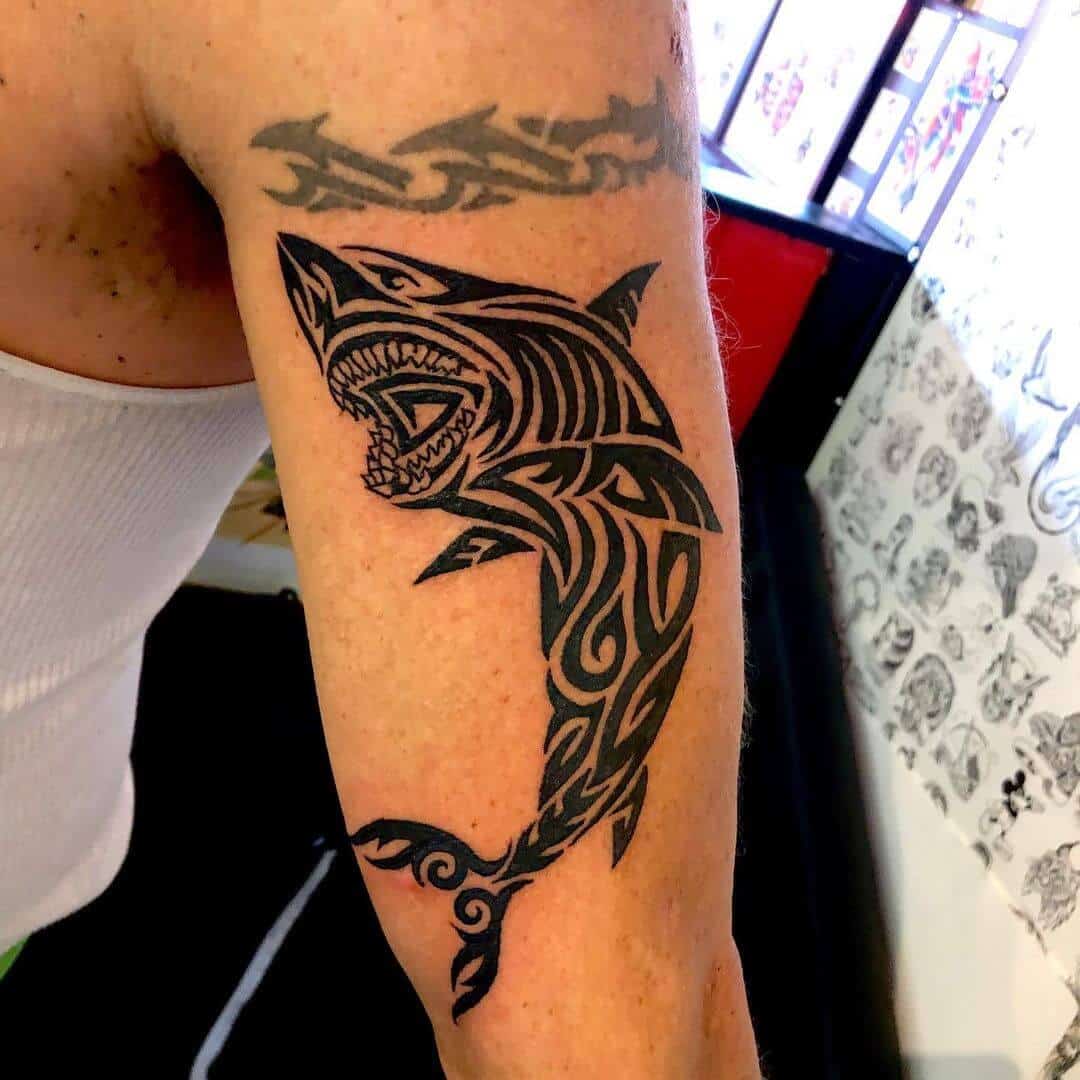 shark tattoo tribal