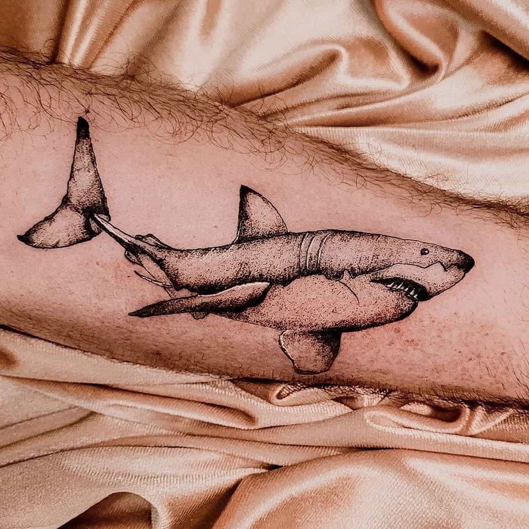 Tyler ATD Tattoos  Great white shark tattoo by Tyler ATD Whistler